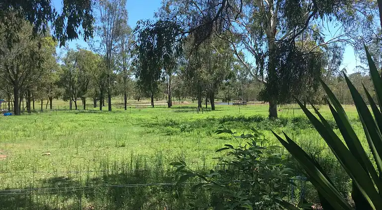 Seehorse Meadows, a Farm Stay in Churchable!