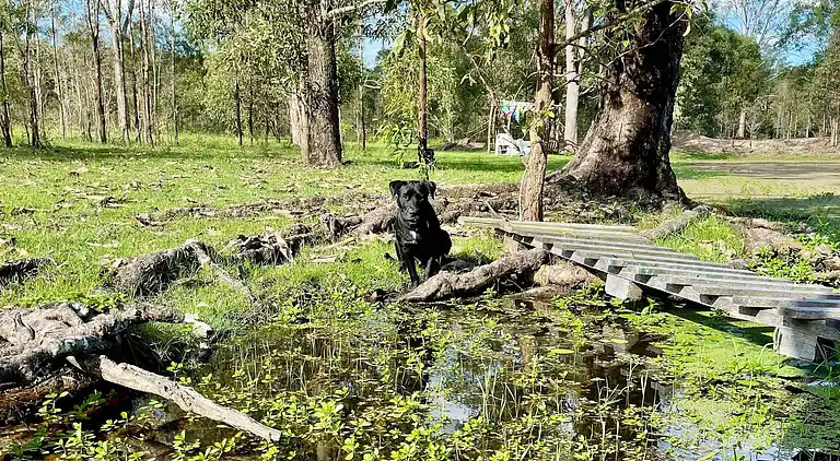 Seehorse Meadows, a Farm Stay in Churchable!