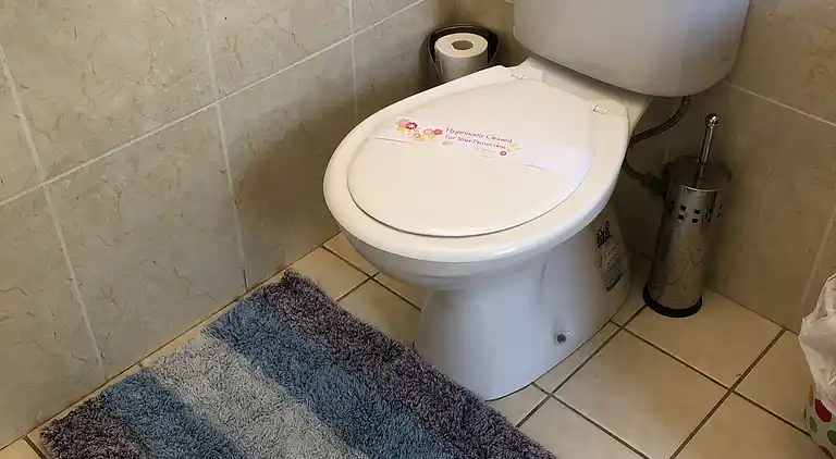 Seehorse Meadows, a Farm Stay in Churchable!