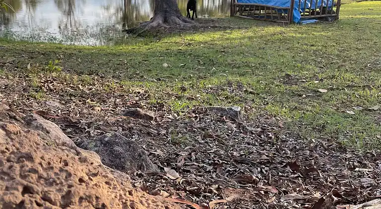 Seehorse Meadows, a Farm Stay in Churchable!