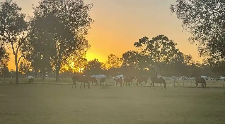 Seehorse Meadows, a Farm Stay in Churchable!