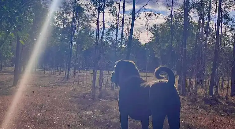 Seehorse Meadows, a Farm Stay in Churchable!