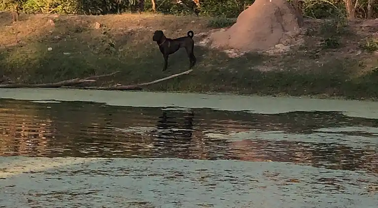 Seehorse Meadows, a Farm Stay in Churchable!