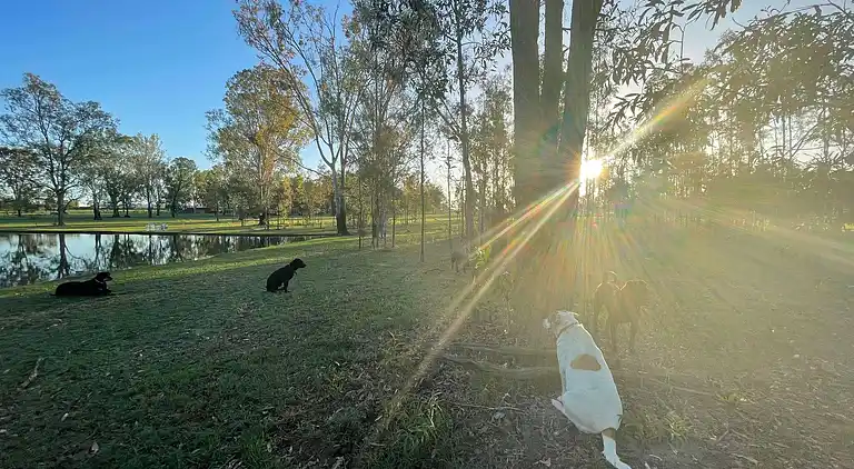 Seehorse Meadows, a Farm Stay in Churchable!