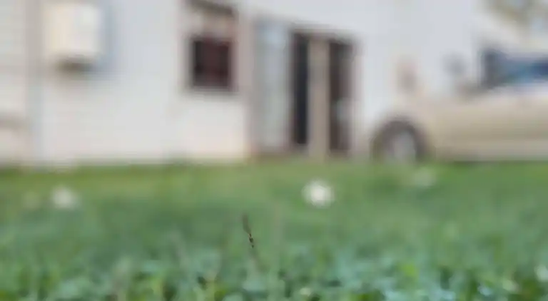 Seehorse Meadows, a Farm Stay in Churchable!