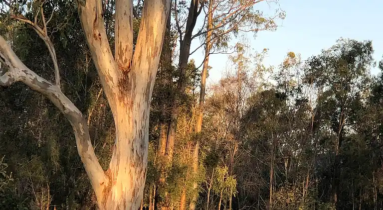 Seehorse Meadows, a Farm Stay in Churchable!