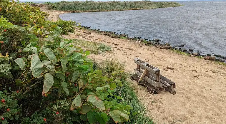 Holiday home in Skaven Strand