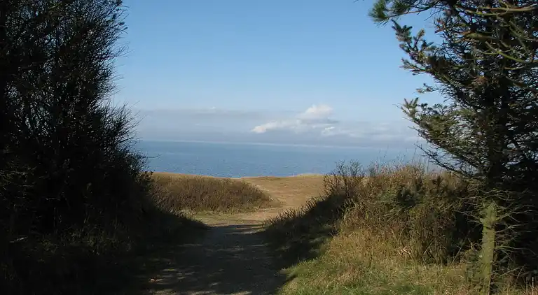 Vakantiehuis in Skaven Strand