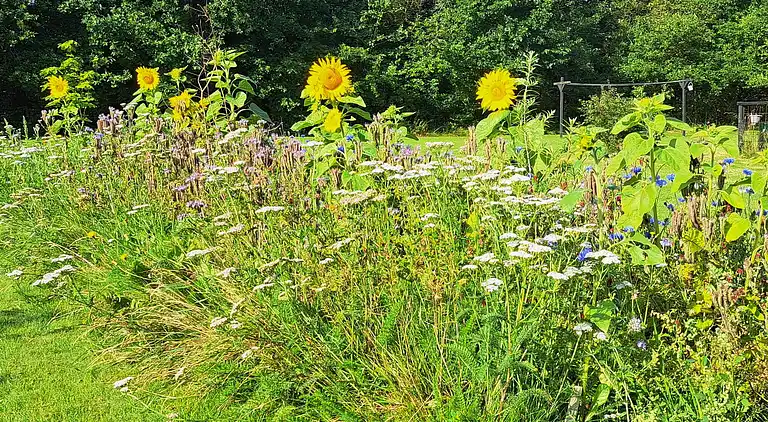 Holiday home in Skaven Strand