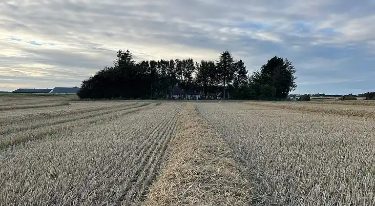 Holiday home in Erslev