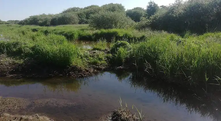 Holiday home in Erslev