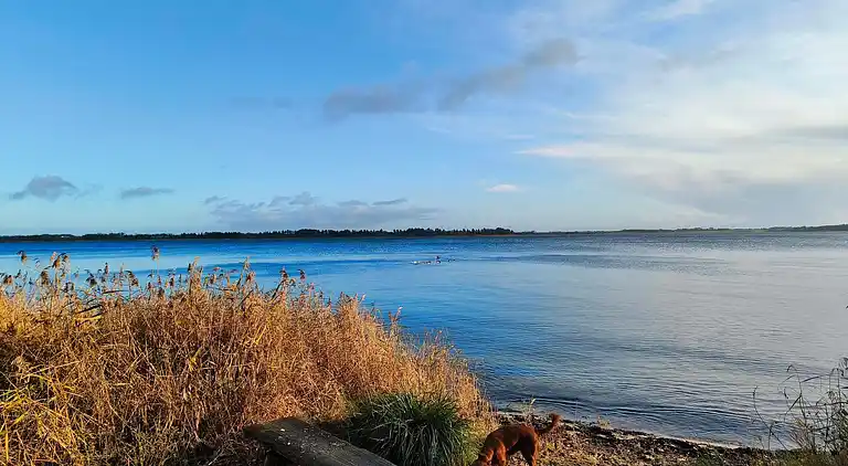 Holiday home in Erslev