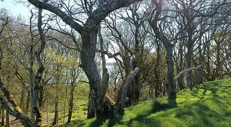 Holiday home in Erslev