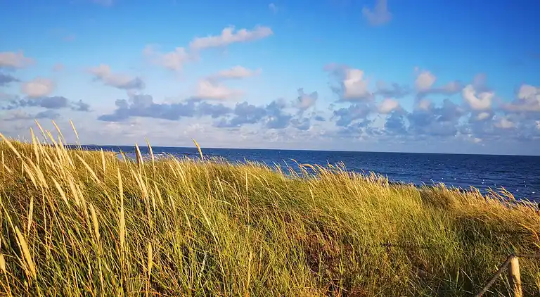 Holiday home in Blåvand