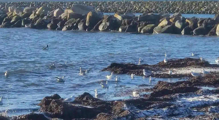 Feriebolig i Harpelunde