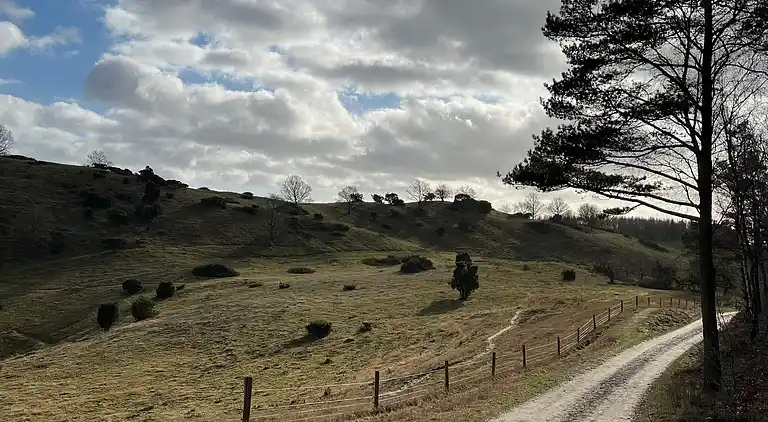 Holiday home in Knebel