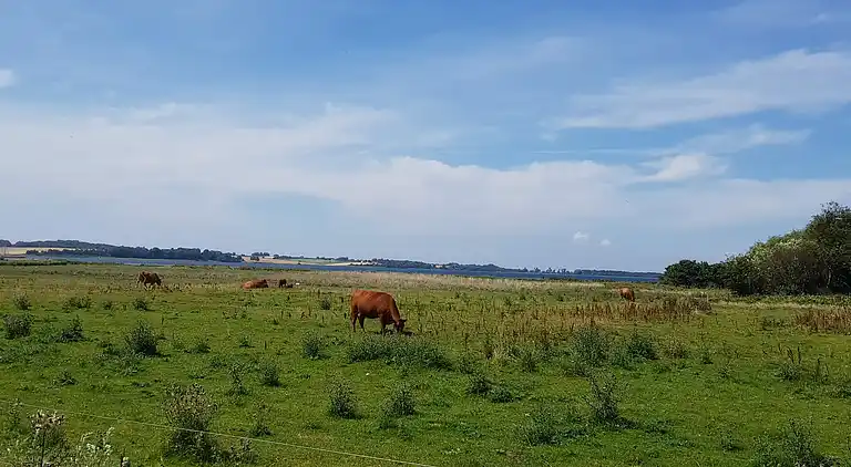 Holiday home in Knebel
