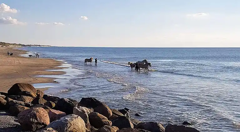 Holiday home in Løkken