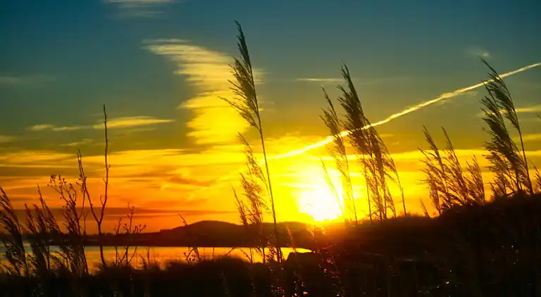 Sommerhus ved Lyngsbæk Strand
