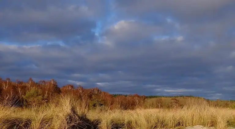 Sommerhus ved Lyngsbæk Strand