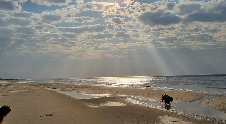 Casa vacanze in Blokhus