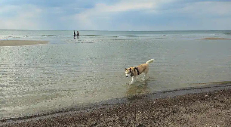 Casa vacanze in Blokhus