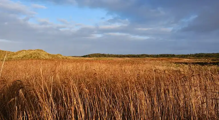 Holiday home in Rødhus