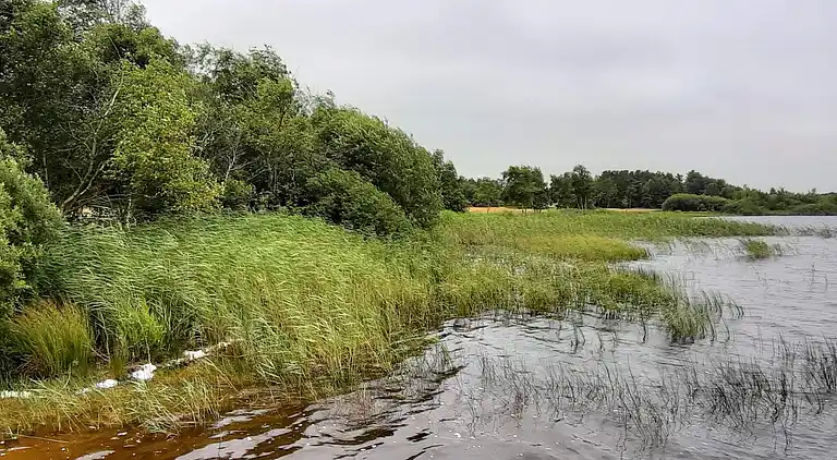 Sommerhus ved Kvie Sø