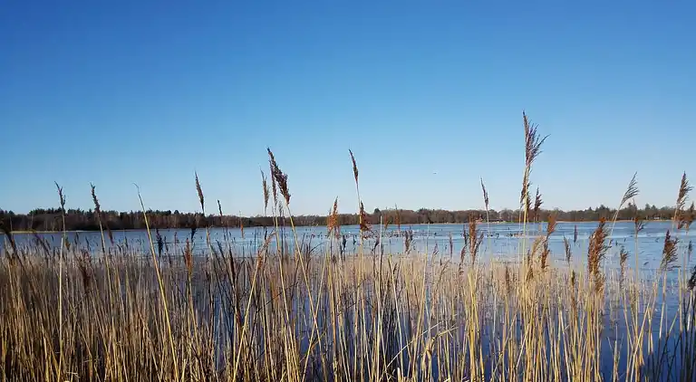 Sommerhus ved Kvie Sø