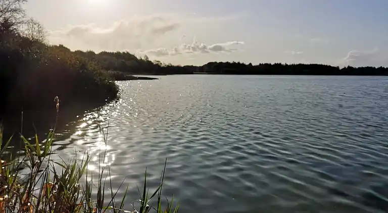 Feriebolig ved Kvie Sø