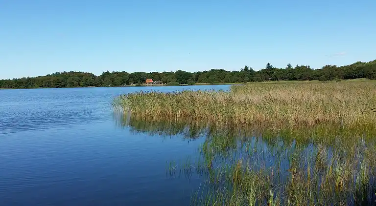 Feriebolig ved Kvie Sø