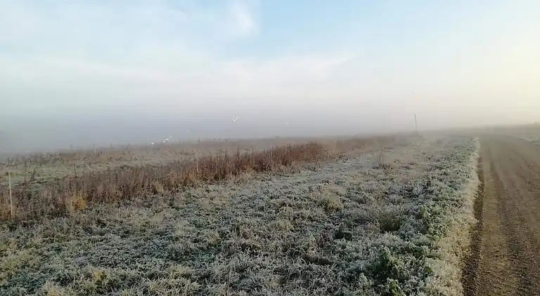 Holiday home in Jammerbugt