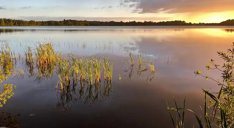 Feriebolig ved Kvie Sø