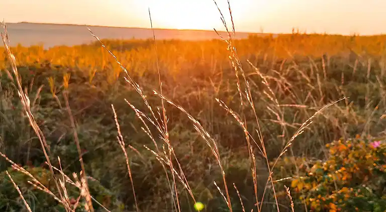 Casa vacanze in Havneby