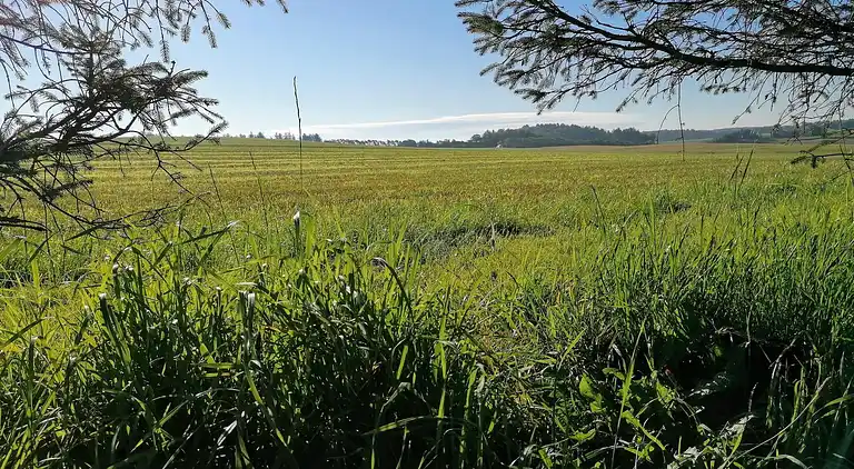 Sommerhus i Grønhøj