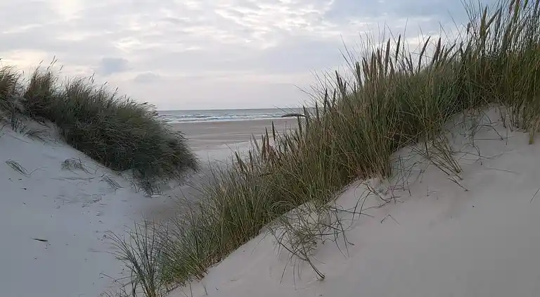 Holiday home in Saltum