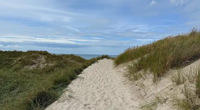 Holiday home in Saltum