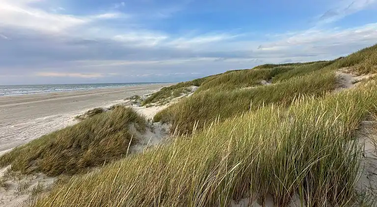 Holiday home in Saltum