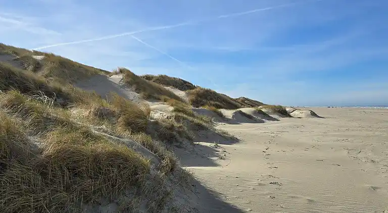 Holiday home in Saltum