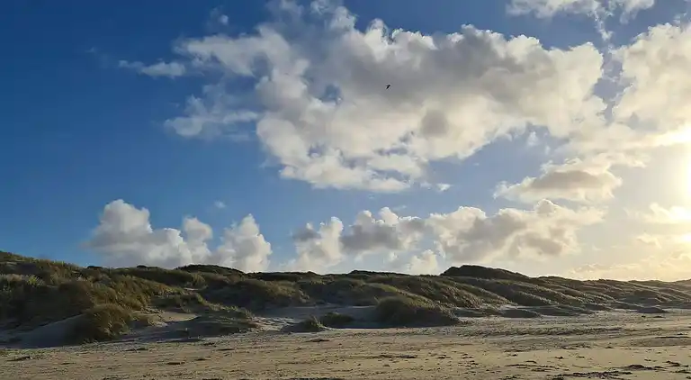 Holiday home in Saltum