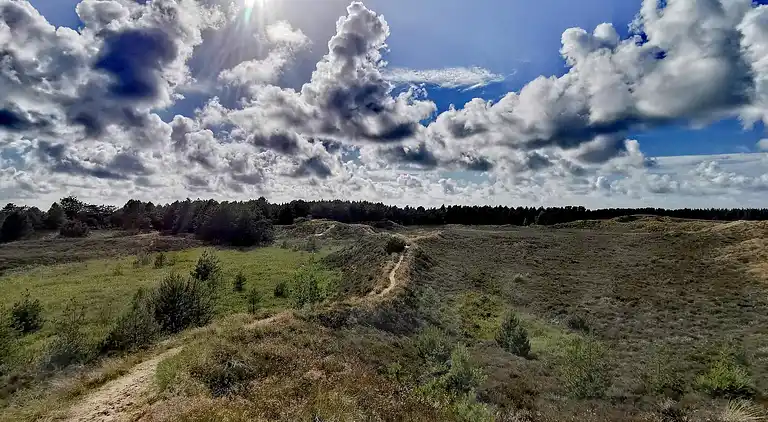 Sommerhus i Kongsmark