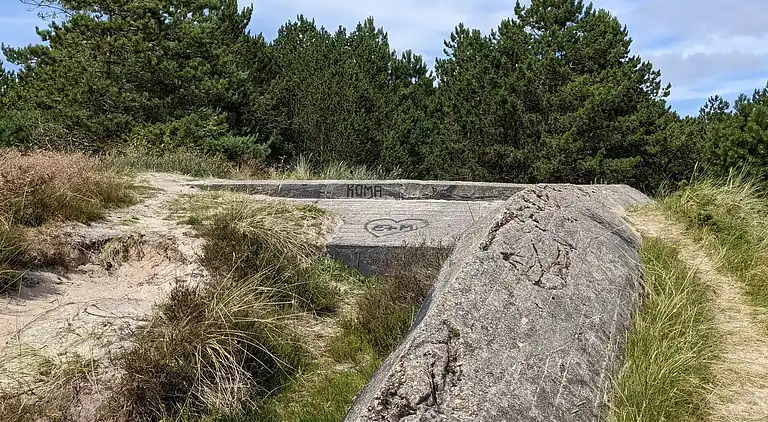 Sommerhus i Kongsmark