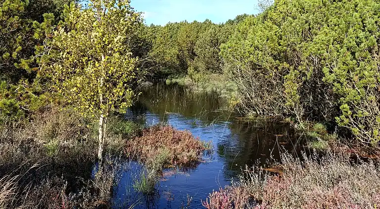 Sommerhus i Kongsmark