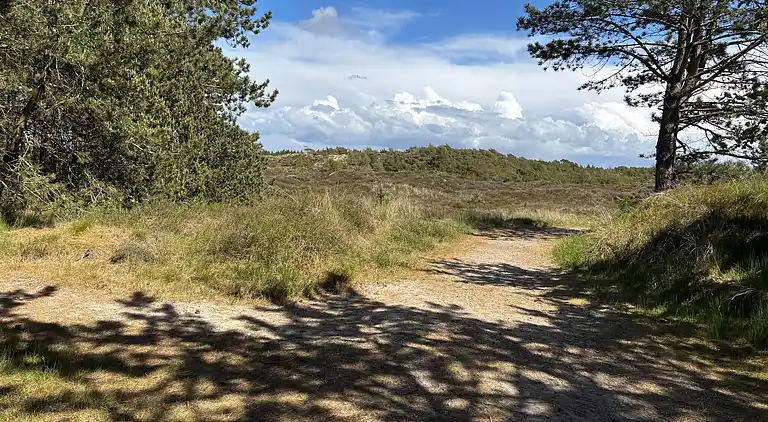 Sommerhus i Kongsmark