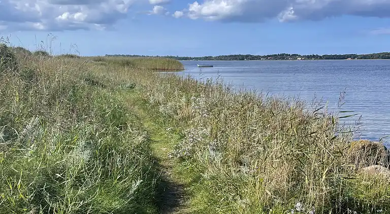 Helles, gemütliches Ferienhaus direkt am Fjord