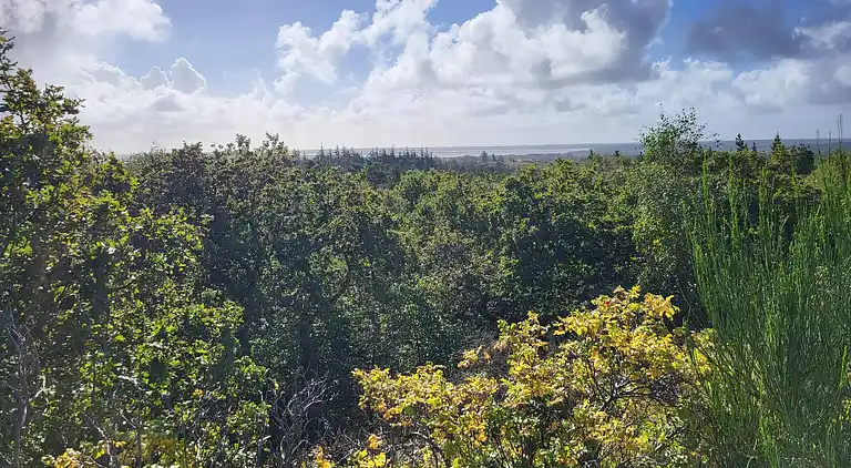 Casa vacanze in Houstrup