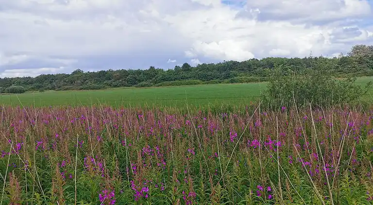 Casa vacanze in Houstrup