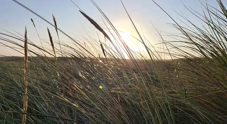 Holiday home in Blåvand