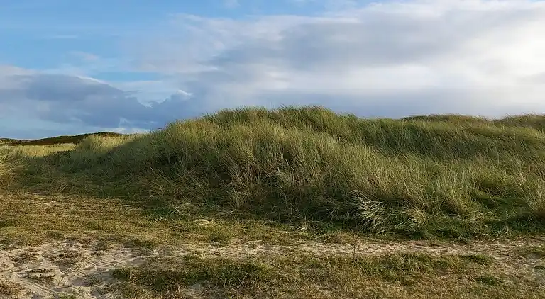 Holiday home in Blåvand