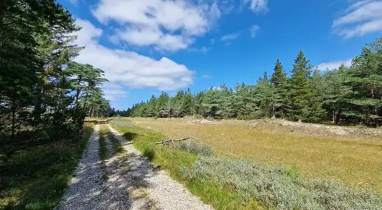 Holiday home in Blåvand